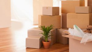 Household Moving Service Hyderabad