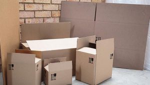 Packing Service In Hyderabad